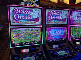 c75x Diamond Empire mein live tables explore karo